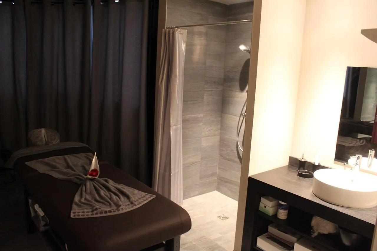 Hotel Palladia Toulouse 4*,